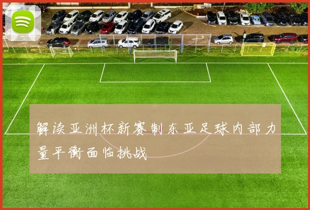 解读亚洲杯新赛制东亚足球内部力量平衡面临挑战